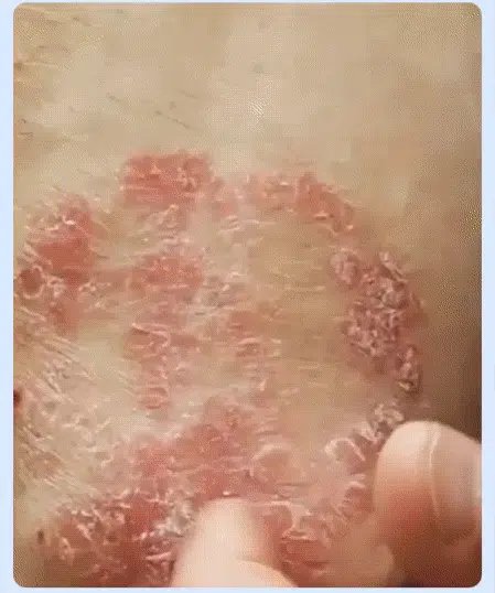 1781930311994225.webp
